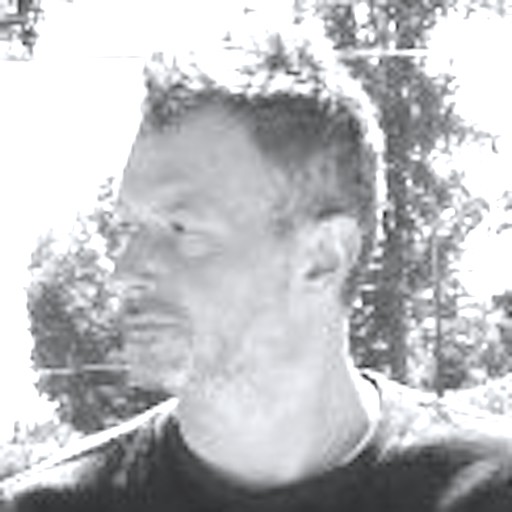 Roberto Mecozzi